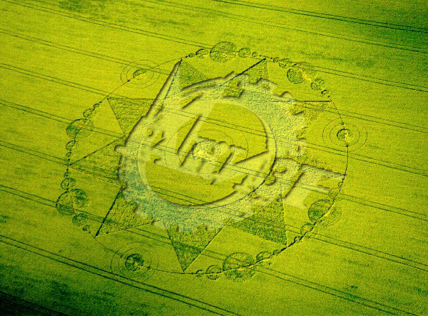 Crop Circle Contact - Cerchi nel grano